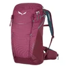 Salewa Alp Trainer 20l WS Backpack Red/Tawny Port batoh