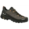 Salewa Alp Trainer 2 Gore-Tex Shoe Ms brown bungee cord black