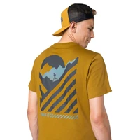 Dynafit 24/7 Graphic T-Shirt M relic striped elevation tričko